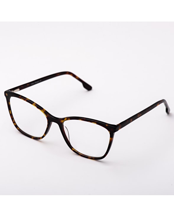 image_5a6ed266-f5c4-40ad-92f2-54da917abdcd