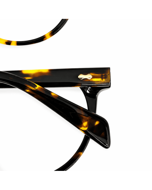 image_df0943a7-e1a9-4413-bf4c-809170940021